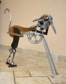 Griffon kortal - Chiens