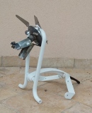 Petit loup - Chiens