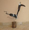 Shadok au trot - Volatiles & insectes