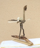 Mouette - Volatiles & insectes